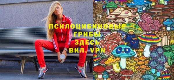 COCAINE Новодвинск