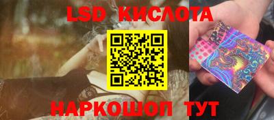 прущие грибы Жуковский