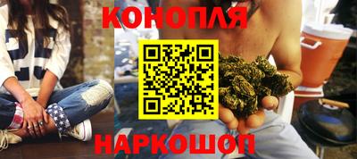 прущие грибы Жуковский
