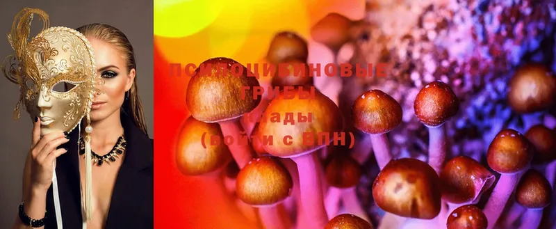 Галлюциногенные грибы MAGIC MUSHROOMS Искитим