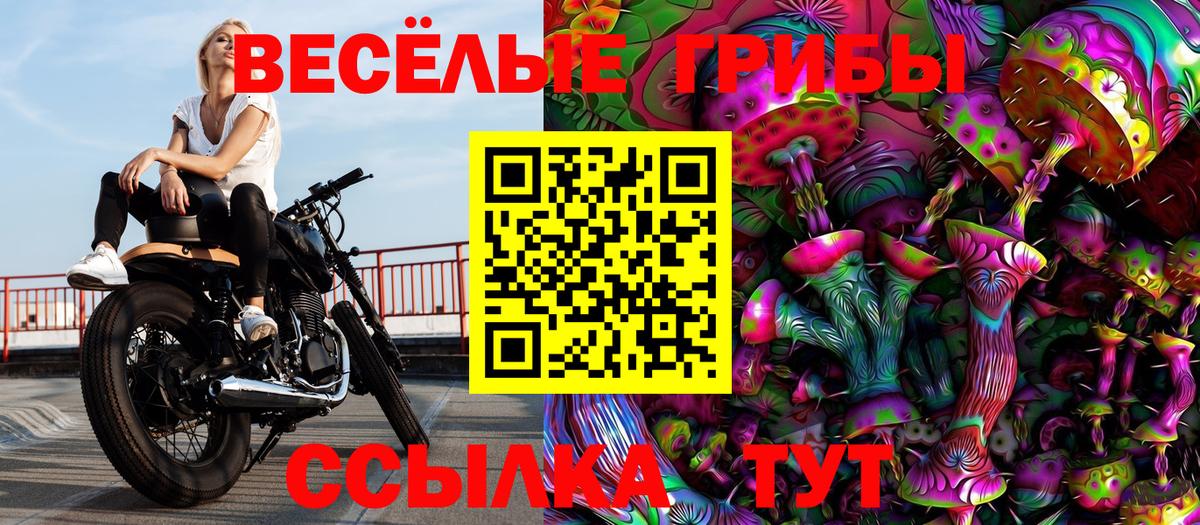 Галлюциногенные грибы Magic Shrooms  Вход с VPN  Искитим  Галлюциногенные грибы мухоморы 