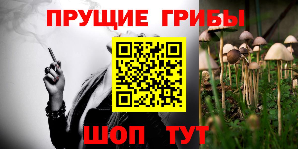 Псилоцибиновые грибы мухоморы Искитим